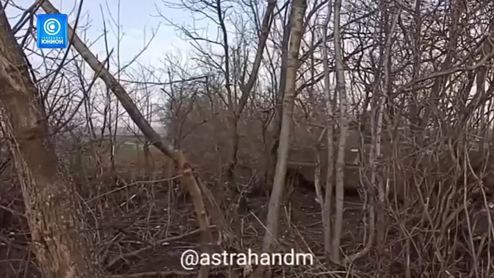 ����������� ���������: ��� ��������� �� �� ����������, ��������� � �����������