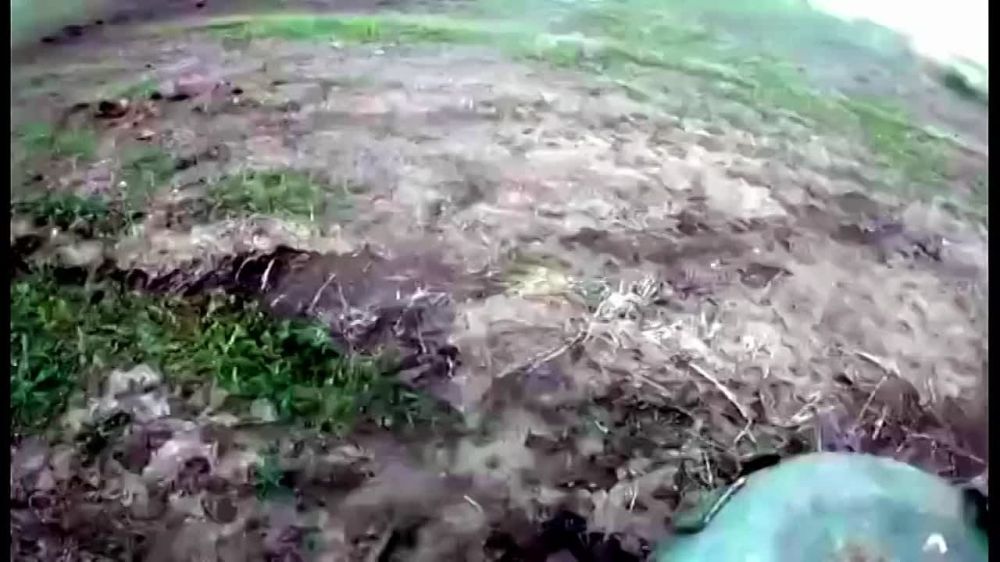 �� ���������� ������������ ���������