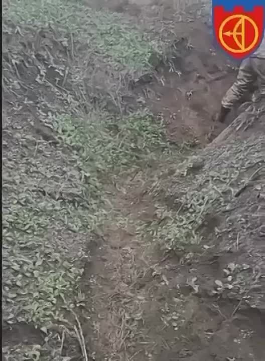 ����� �� ������ ��������� �� ������� ���. ���������� ������� ������ ��� ������������ � ��������, ��� �� ������ � ����� �������� ���� 5 ������