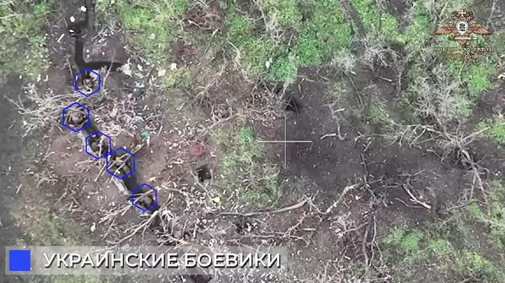������ �������� �������������, ���� ��������, ���������������� ���������������, ����� �������� �������� ������ ���������� ������? ��� ��� ����������