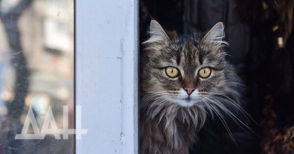 �� ����� ������� ������ � ��� ��������� ����� ������ � �������� ����� �� 23 �/�