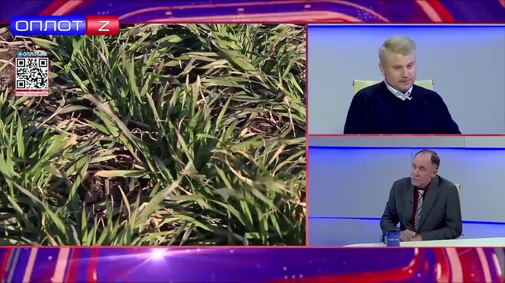 � ������ ����� ��������� �� ���������� �����: