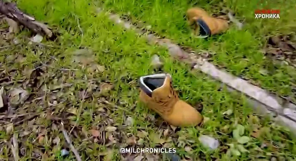 ����������� ������: ����� � ���������� ��������