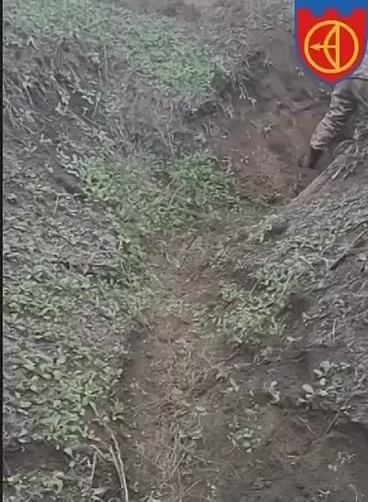 ����� ��������� �� ��� �������, ��� �� ������ �������� 5 �������.