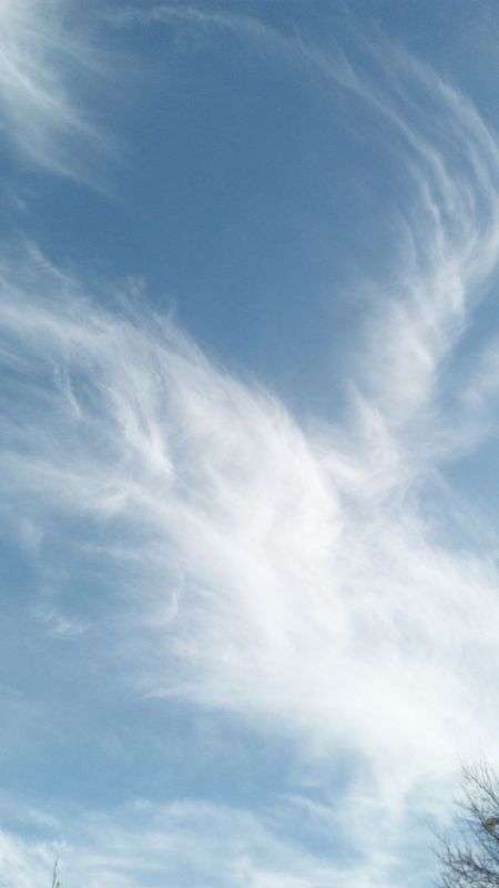 ����� - ��������, �������� ����� �������
