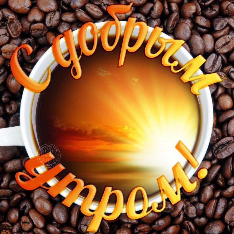 ������� �������: