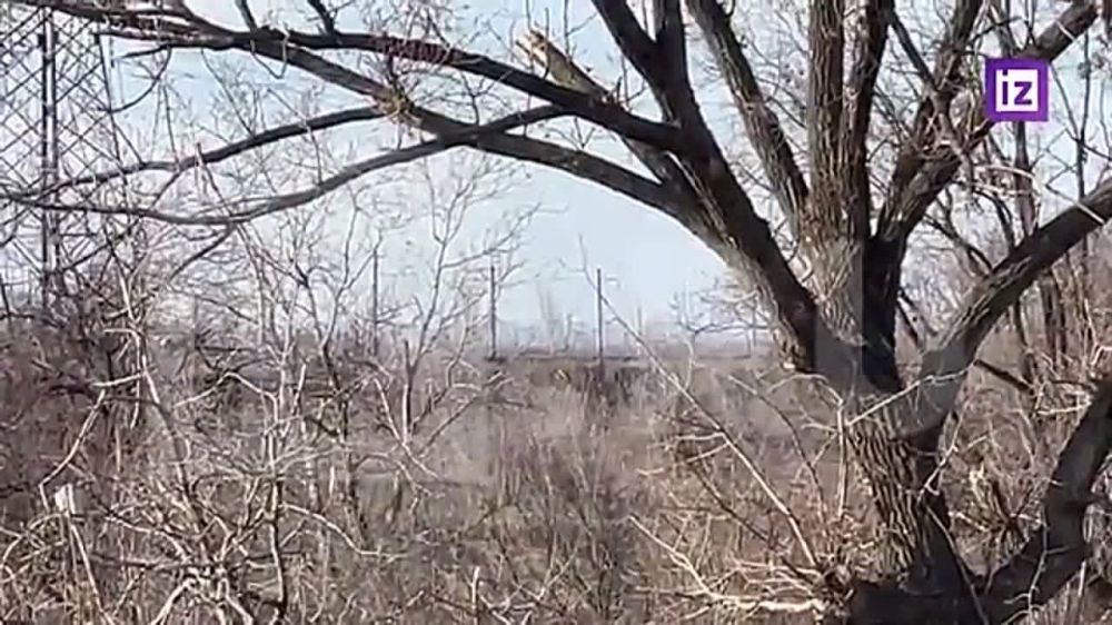 ���������� "��������" ������� �������� � ������������� �� ���������� �������� �������� � ���