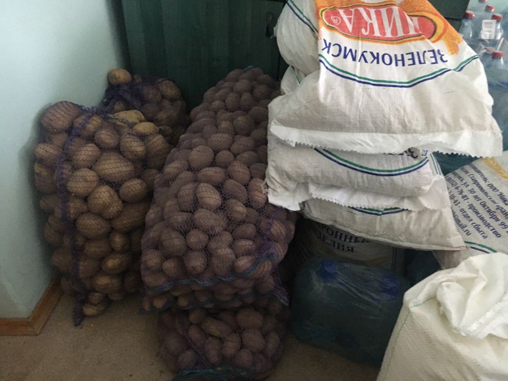 ������� ������: ����� ������������� �������� "�������� ����������", ���������� �����������, ����������...