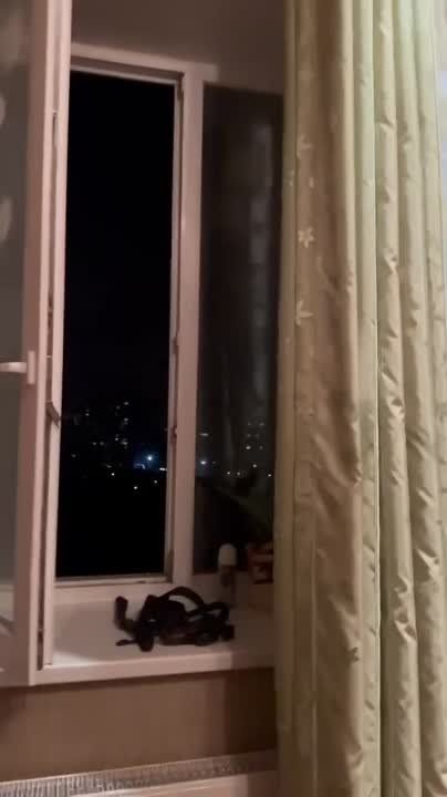 ���� �������: ������������ ������� �������