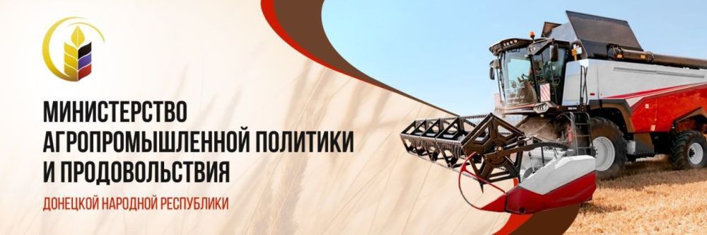 ������� ������� ������ � ����� ��� ���: