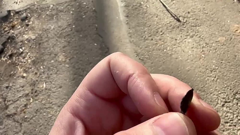 ��������� �������: ��� ��������� �� ����������� ������������ �������