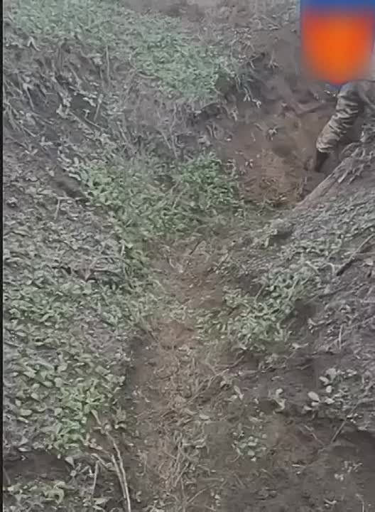 ������ ���������: ������ ������� ������ � ����� ����������, ������� ��� �� �������� �������� ��������