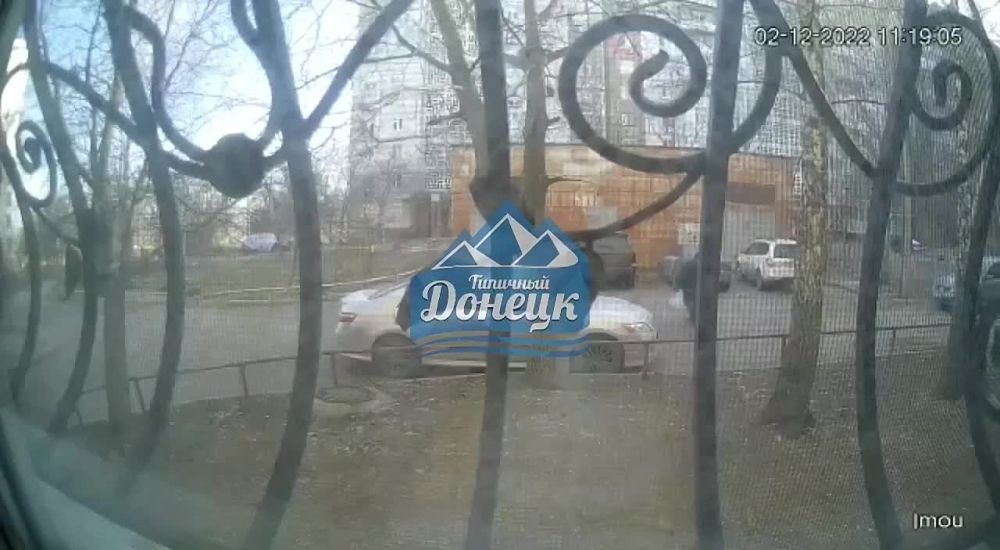���� ���������: ������ ������. ������ ������