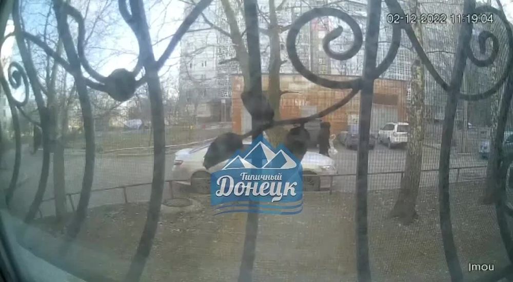 ������ ������ �� ����������� ������� � �������
