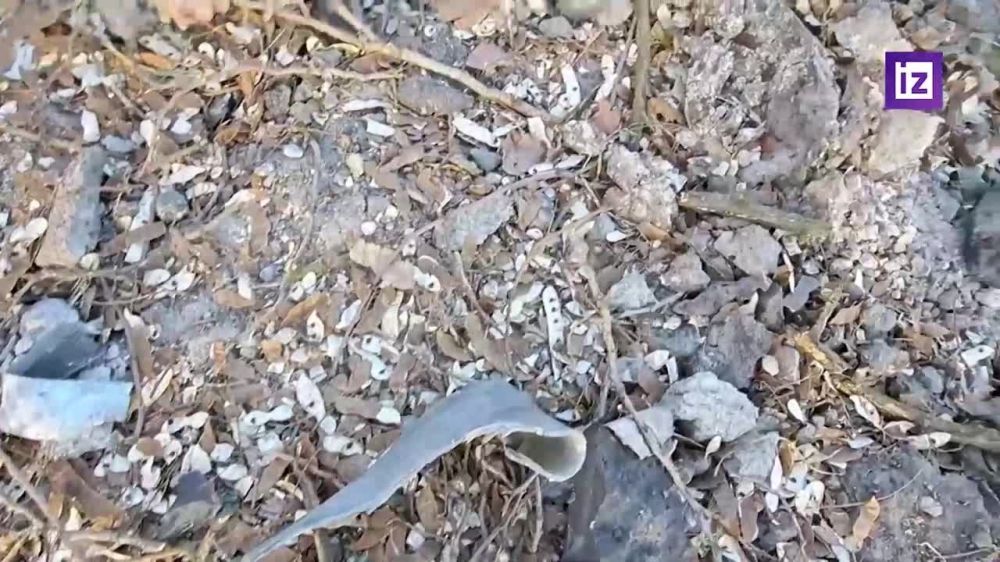 ������ ������� ���������� � ������������ �������� ������ �� ������� ���������� ��������