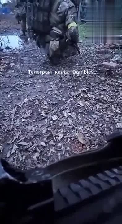 ��������� (������). �������� ��� ���������