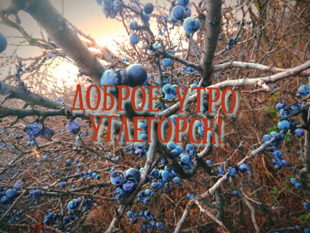 � ������ ����� ����! ����� ���� ���������� � ������� ��������, ����� ����� �����, ������� � ������