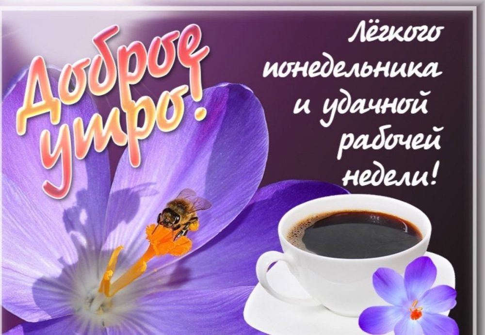 ������� �������: