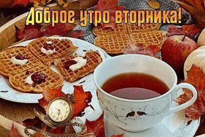 ������� �������: