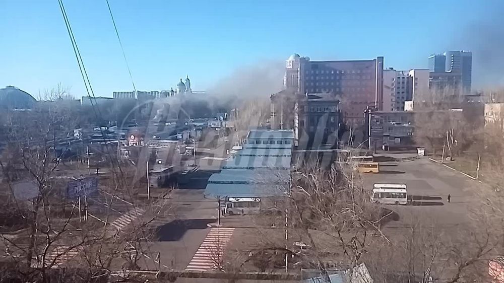 ���� �������: ����� ���� ��� �������� ����� ������� ���������� ������ "�����"