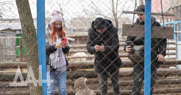 ������, �� �������� � ����������. ������������� ������� ������������� � ���� ����� ��������