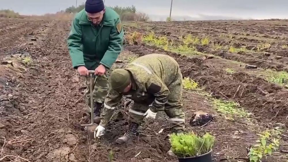 ���������� ��������� ����������� � ��� � ��� ������������� ������������ ������