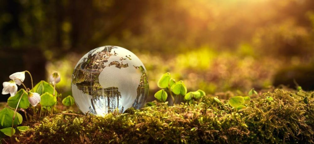 � ��� � ��� � 2023-2025 ����� ������� 50 ������������� ������������� �����