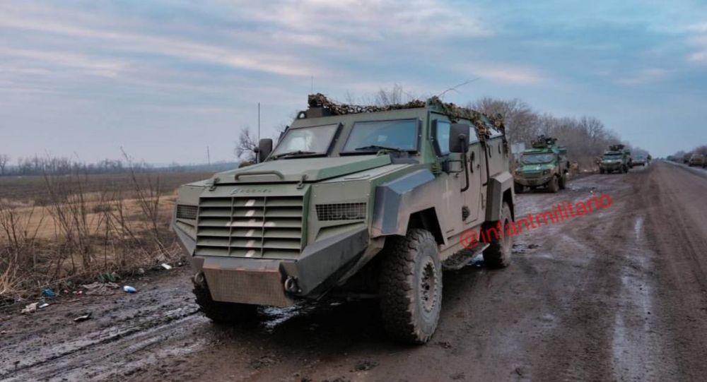 ��������������� Rashel Senator � Panthera T6 47-� ��������� ���������������� ������� ��� ��� ��������