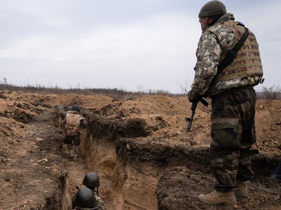 ������� �������� ���������������� �������� ���������� ������������� ��������� ���: ����������������� ����������� ��������