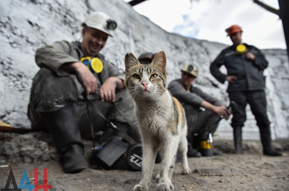 ��������� ����������� ������ ��������� ������� �������� ������� ��������