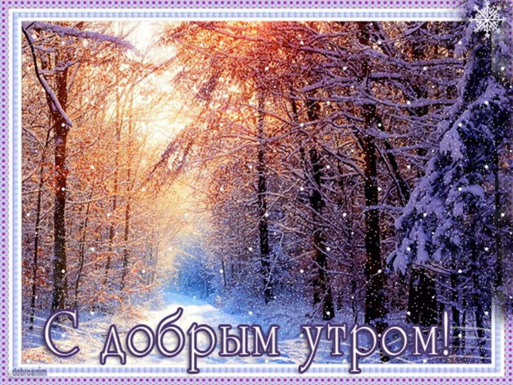 ������� �������: ����� ���� ����� �������� ������ ������� ���������