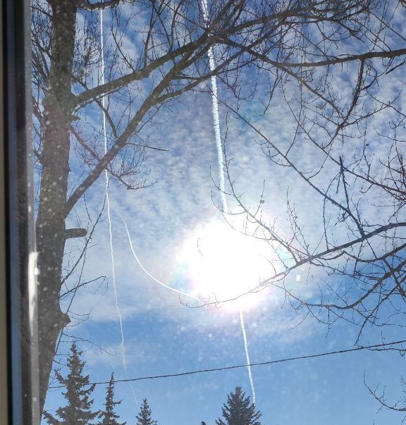 ������� ���������: � ���� ������� ������� ��� ��������� ������� ���