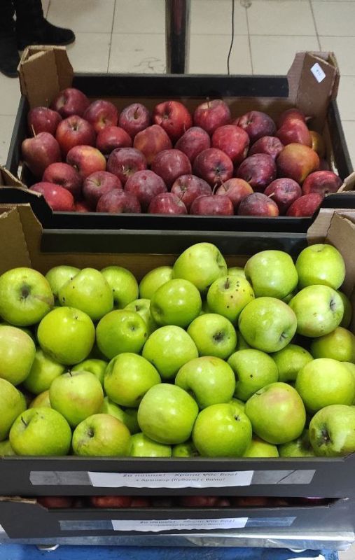 Василий Ткачук: Члены Общественного Движения "Донецкая Республика", коллективы предприятий, учреждений...