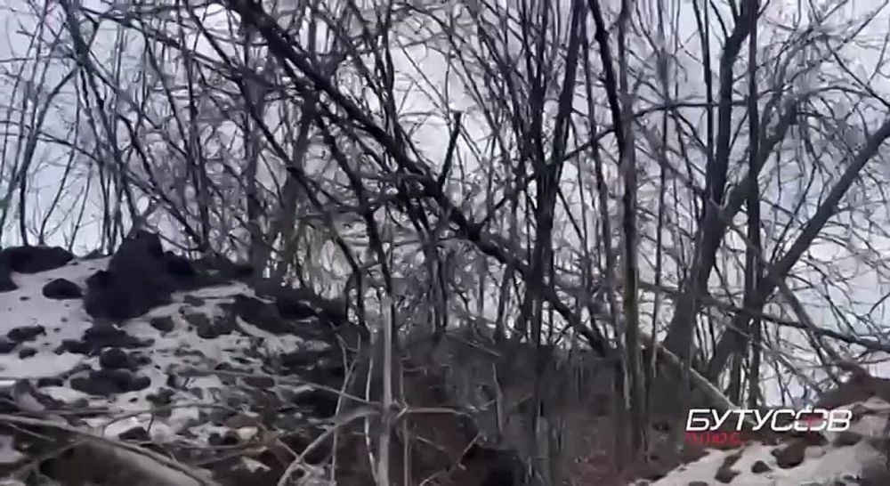 � �������� ������� ������� ��� �������� - ����� ������� �����