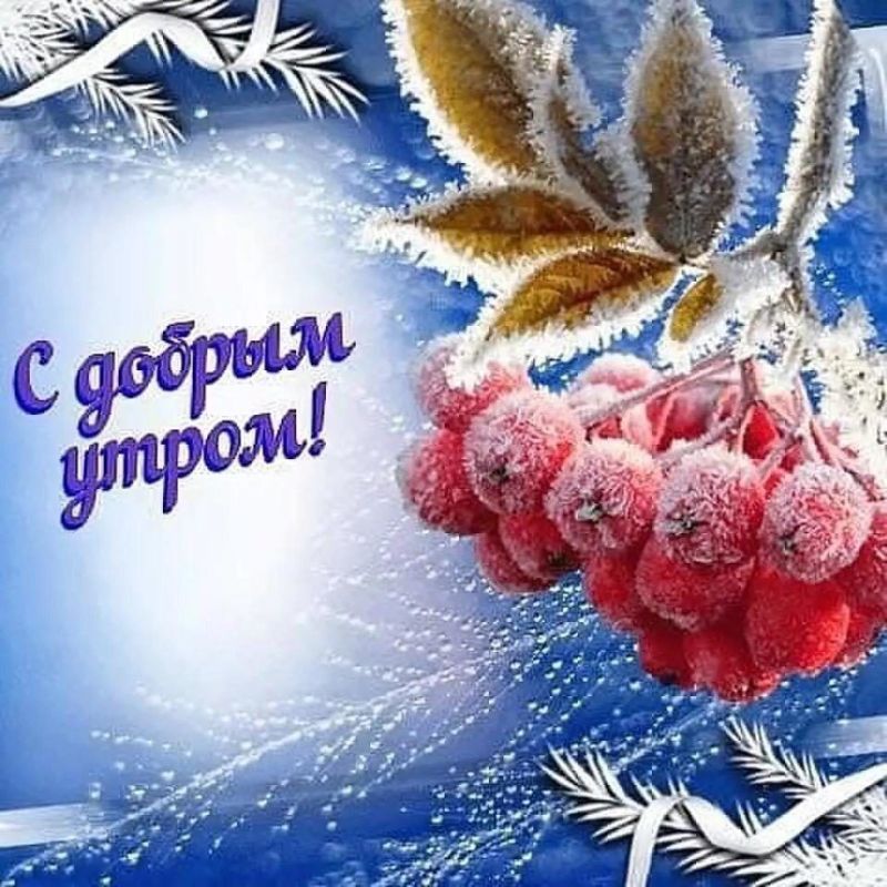 ������� �������: