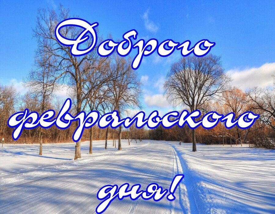 ������� �������: