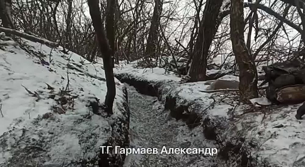 ����� 36-� ����� ��� �� ������ ���������� ��������� � ������ ��������, �������� ���������� ������ ������
