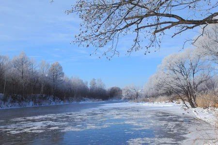 �������� ������: � ��� � ����� ������������ ����� ����������� ������� ��������� ����������� ����� ������� ������� ��