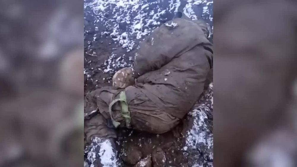 ���������. RT �������� � ������� �����, �������� ��� ������ �� ����� ���������� �������� � ��������� � ��������
