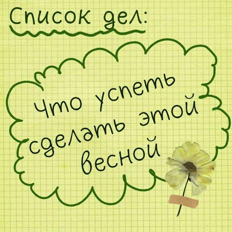 �������� ������: ��� "���������� ������������� ��������" ������� ��������-����������� ��� ���, ��� ����� �������� �������� � ����� �������