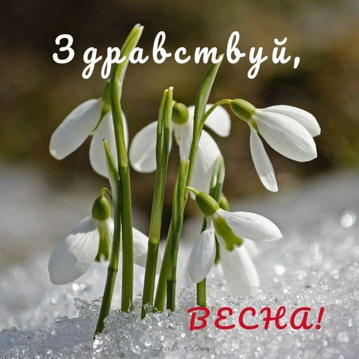 ������� ��������: � ������ � ���� � ��������