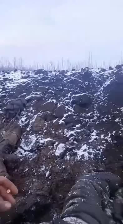 ����� ������� ������ � ���������... ��� �****� ��� ��������, �� �� �����!�