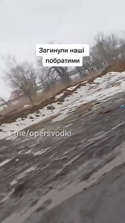 �� ������ ����� ������ ����� �� � ��������