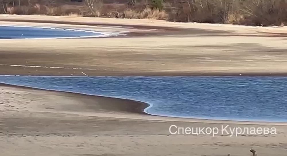 � ��������� ������������� �������� �� ������ ����