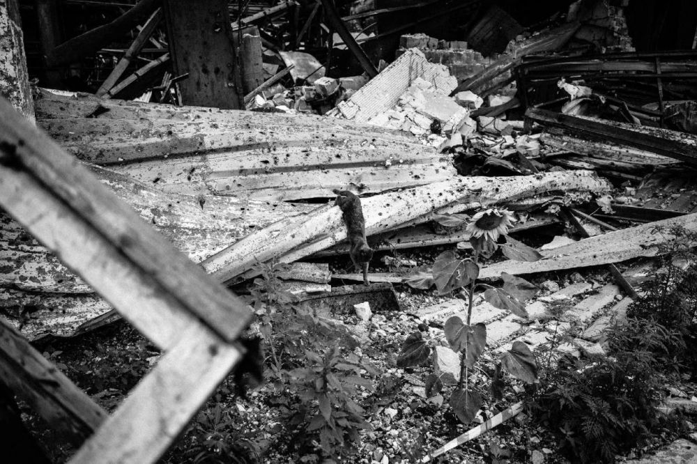 ����� ��������: ��������� ���� �������, �� ���� �������� ���� �������, ������� � ���� ����������