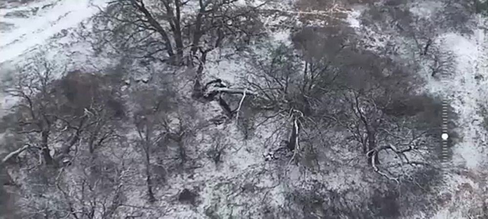 �������� 144 ��� ����������� ������� ���������� ����� ������ ����������, �������� ������ �����