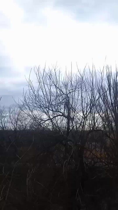 ��� ���� ������, ��� ���