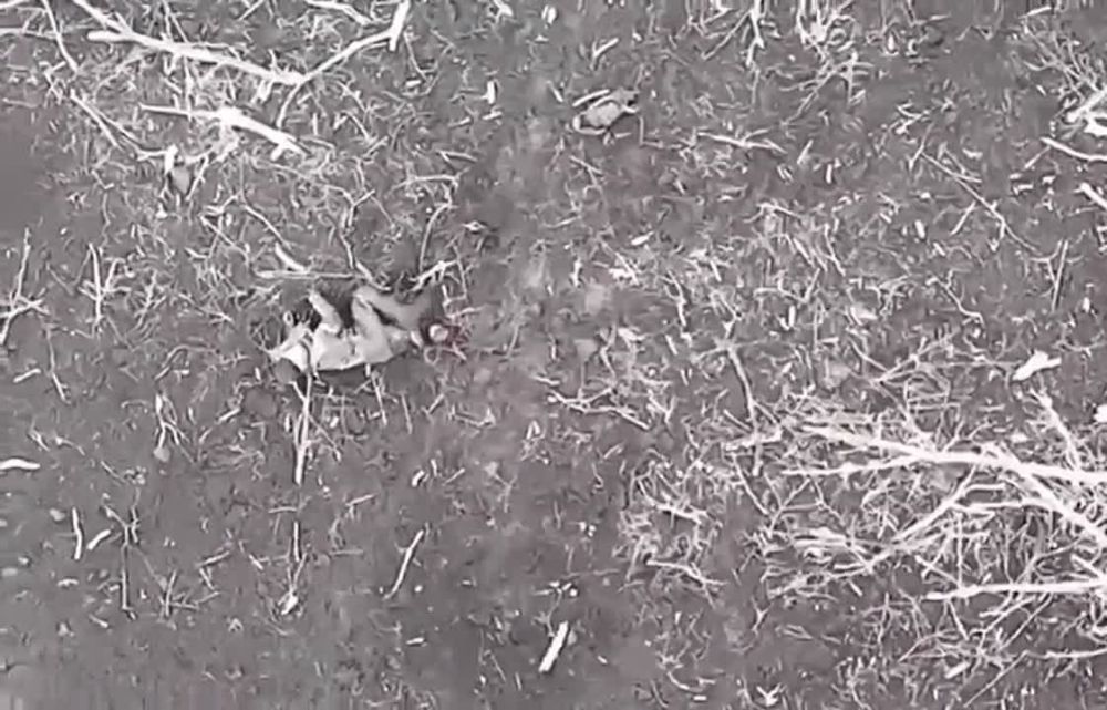 ������� ������ ������� ������, �� �� ������� � �� ���� � �����