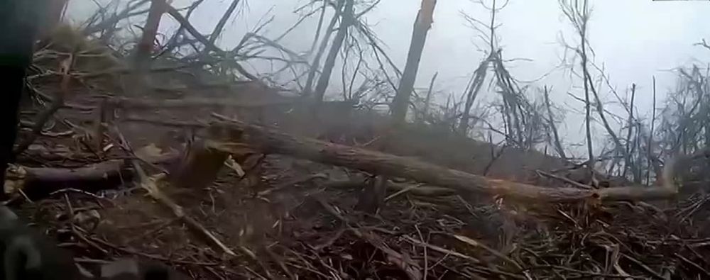 ������ ����������: ����� �� ������� ����. ������ ��������� ���������� ������ �׸���� �����, �������� �������� �����. ����� �������-���������, ������� ��������-��������-����� �������