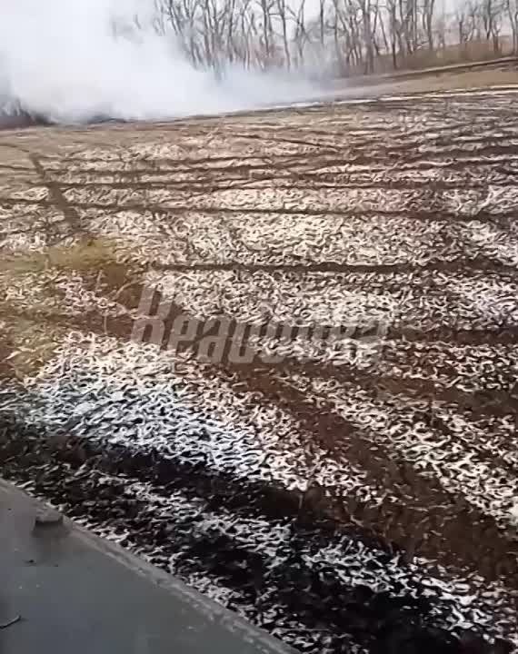 ����� ����������� �������� �������������� ����� �� �������